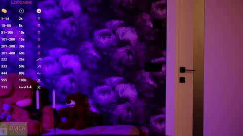 Snapshot of angeellina chatting on 12.29.24 angeellina online show from 12.29.24