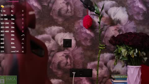 Snapshot of angeellina chatting on 01.14.25 angeellina online show from 01.14.25