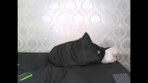 Angel Lein online show from 02.11.25