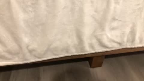 Snapshot of angeleliza0113 chatting on 02.14.26 Mira13 online show from 02.14.26