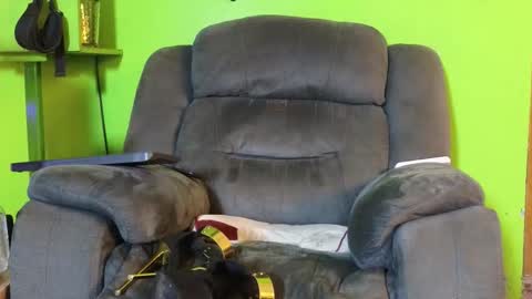 Angel online show from 02.18.26