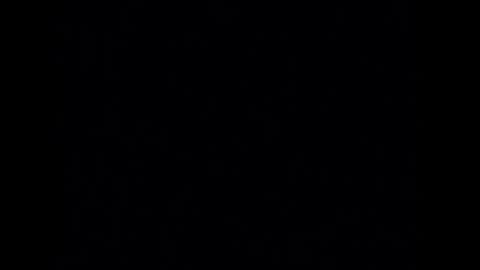 Angelina Weiss online show from 04.08.26