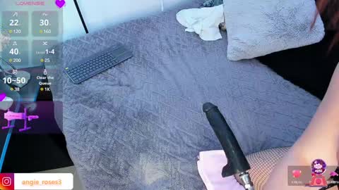 angiee roses online show from 01.25.25