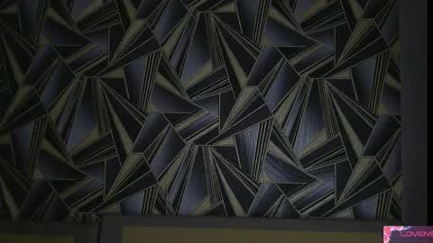 Snapshot of ani_eww chatting on 02.13.26 Anne online show from 02.13.26