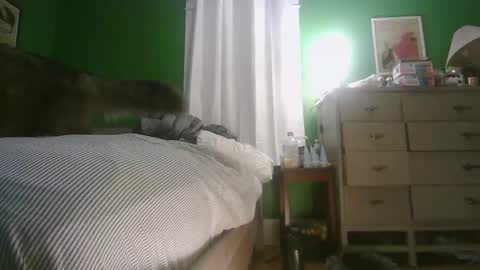 Ani online show from 02.15.26