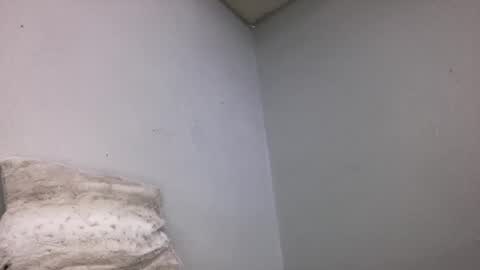 Animeboygirls online show from 03.16.26