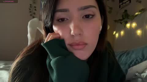 Anisa Moan from LovenseWet from Tip MenuOpen for Private online show from 04.21.26