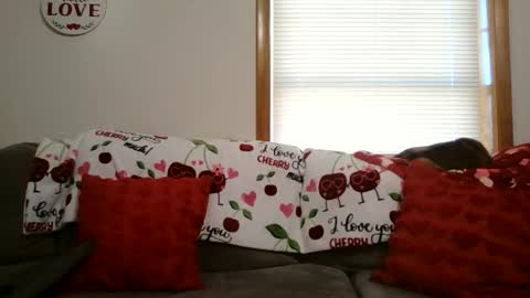 anne online show from 01.12.26