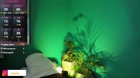 ANG  online show from 02.15.25