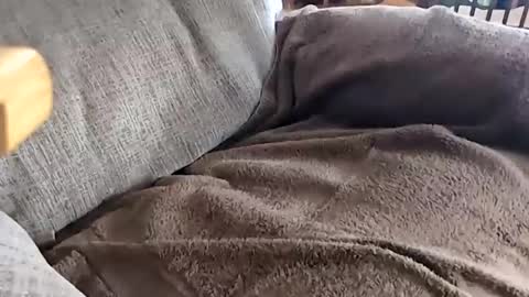 jay online show from 11.20.25