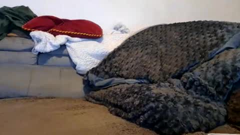 anonymousex15 online show from 11.30.25