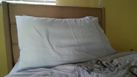 Snapshot of ansreramso chatting on 10.12.25 Lower chakra online show from 10.12.25