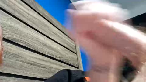 anthonyjonorth online show from 02.07.26