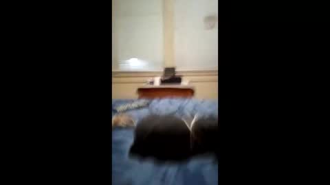 Snapshot of anthonymichael691973668762 chatting on 03.03.26 anthonymichael691973668762 online show from 03.03.26