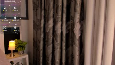 Snapshot of antonellaa_gomez chatting on 12.26.24 Antonellaa online show from 12.26.24