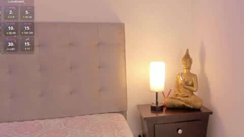 Snapshot of antonellaa_gomez chatting on 01.29.25 Antonellaa online show from 01.29.25