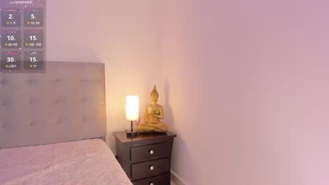 Snapshot of antonellaa_gomez chatting on 01.31.25 Antonellaa online show from 01.31.25