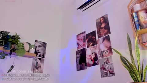 o ANTO online show from 03.11.26