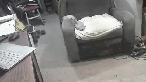 arealshowoff online show from 03.22.26