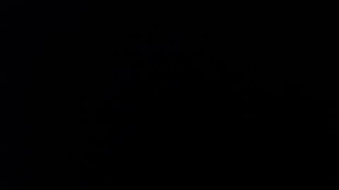 ARIANNA  online show from 02.14.26