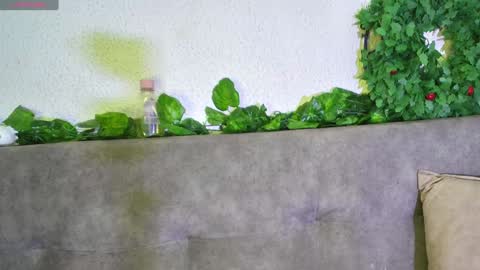 ari online show from 12.11.24