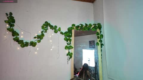 ari online show from 01.11.25