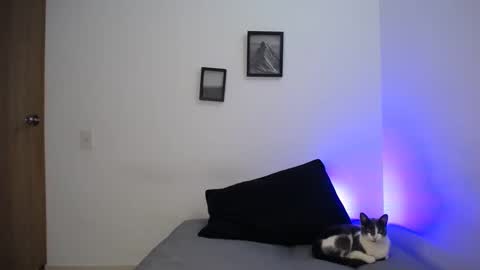  777 online show from 12.19.24