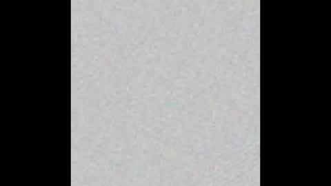 Arianna Collins online show from 03.14.26