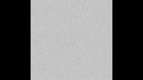 Arianna Collins online show from 03.16.26