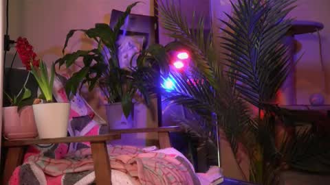 Olivka online show from 03.20.26