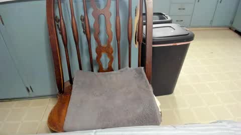 armalite16 online show from 11.21.25