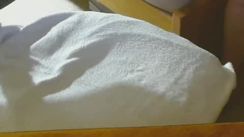 Arnie  online show from 12.22.24