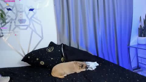 Snapshot of aron_santoro1 chatting on 01.12.25 Aron Santoro online show from 01.12.25