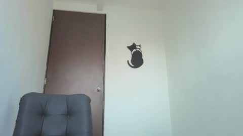 Snapshot of arteemiis chatting on 11.22.25 online show from 11.22.25