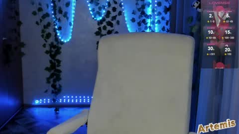 Artemis  my pvt is open and lovense is active  online show from 06.03.26