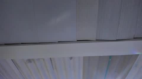 Snapshot of artemis_020 chatting on 11.20.25 FENIX online show from 11.20.25