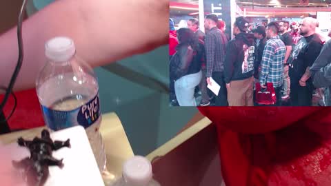 Snapshot of ashbashgirl chatting on 01.19.26 SweetAshCheeks online show from 01.19.26