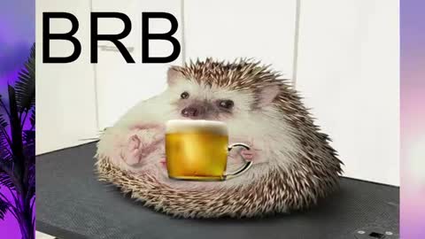 AshleyAshe  online show from 02.16.25