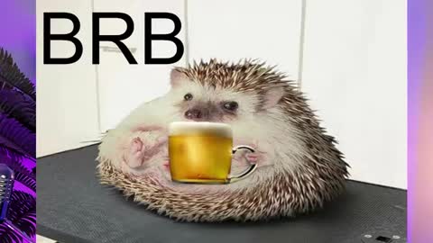 AshleyAshe  online show from 02.16.25