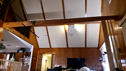 Snapshot of ashelynngrey1986 chatting on 02.27.25 Ashelynn Grey online show from 02.27.25