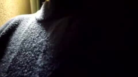 Ashelynn Grey online show from 06.29.26