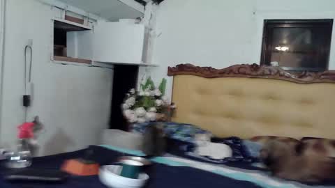 asianladyboy888 online show from 02.22.26