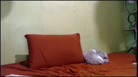 Mhay online show from 09.26.25