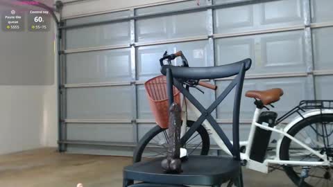 Anne online show from 12.15.25