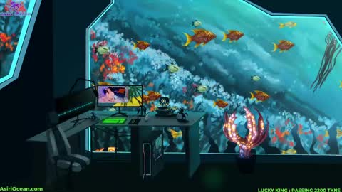 Asiri   pronounced Ah-siri Please no nicknames   3 online show from 03.31.26