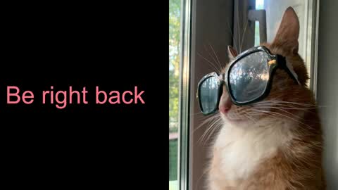 Snapshot of astra_lis chatting on 02.17.25 Astra online show from 02.17.25