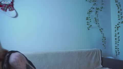 Zara online show from 01.08.26