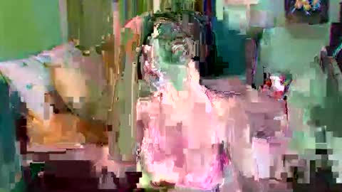 asuntapony online show from 09.11.25