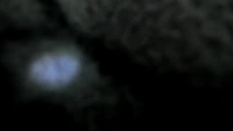 Atilana Diaz online show from 12.30.24