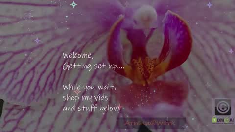 Atrena online show from 01.15.26